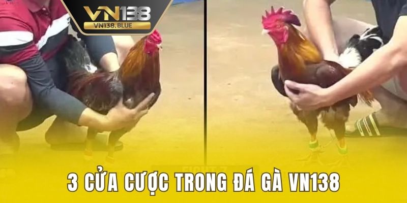 3 cửa cược trong đá gà VN138