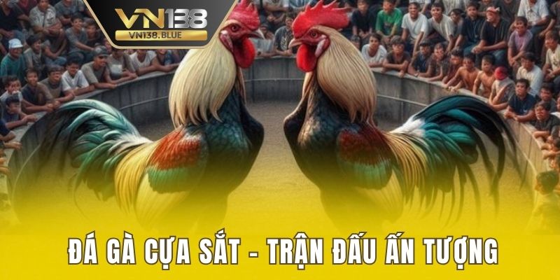 đá gà cựa sắt