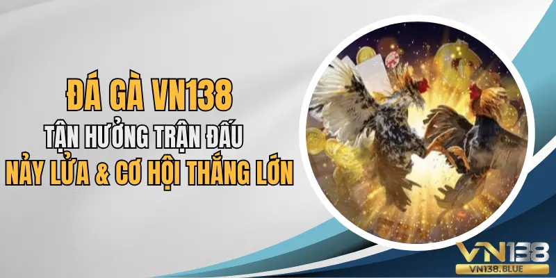 Đá gà VN138 tận hưởng trận đấu nảy lửa cơ hội thắng lớn.