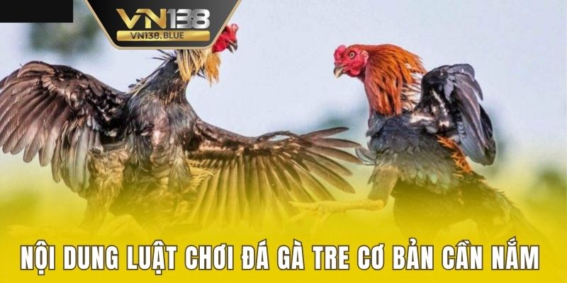 Nội dung luật chơi đá gà Tre cơ bản cần nắm