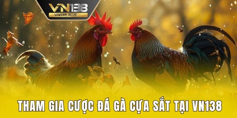 Tham gia cá cược đá gà cựa sắt tại nhà cái VN138